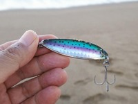 lure2-180917.jpg