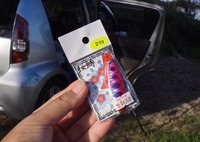 lure3-180917.jpg