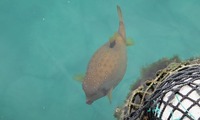 m_hakofu-250212.jpg