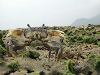 mag-140529.jpg
