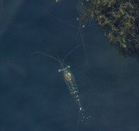 meb-120528.jpg