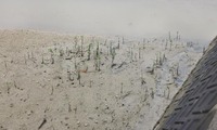 mhrg-210702.jpg