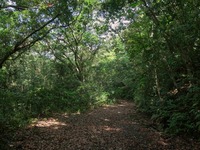 mikyow-210411.jpg