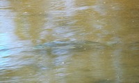 mk-250705.jpg