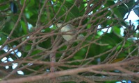 mkui-221015.jpg