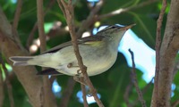 mkui2-221015.jpg