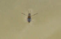 mm2-120602.jpg