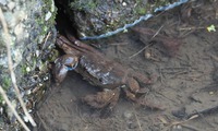 mocz-241021.jpg
