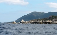 mshiroze2-180120.jpg