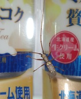 msk-180515.jpg