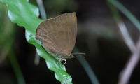 murasa-240701.jpg