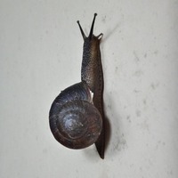 mymy-240301.jpg