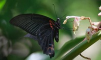 nagasak-250702.jpg