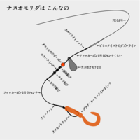 nasomo-210714.png