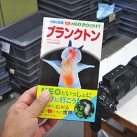 neo-240707.jpg
