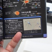 neo2-240707.jpg