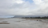 nesgata-240222.jpg