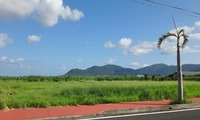 nesgata-241014.jpg