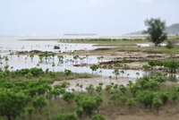 nikugan-150823.jpg