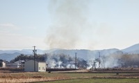 noyaki-250119.jpg