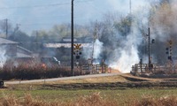 noyaki2-250119.jpg