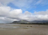 ny-rb2-181211.jpg