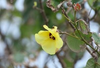 ohb-230307.jpg