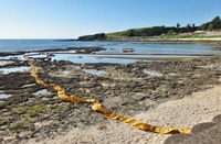 oil-210920.jpg