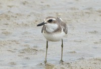 omdc-190808.jpg