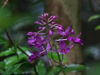 onagae-250801.jpg