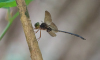 oometon-250809.jpg