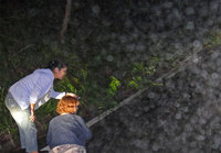 orb-110727.jpg