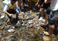 ou-releaseing-170708.jpg