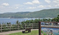 park-240421.jpg