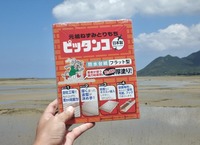 pettan_240903.jpg
