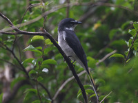 r_ssk3-191003.jpg