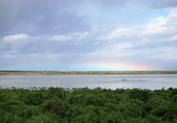 rainbow-161021.jpg