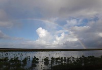 rainbow-190927.jpg