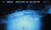 rec-120217.jpg