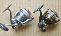 reel-220116.jpg