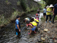 releaseing-170708.jpg