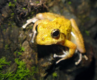 rkg-120808.jpg