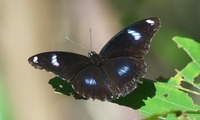 rm-220925.jpg