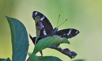 rm-250802.jpg