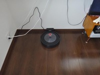 runta-250225.jpg