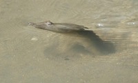 s2-220510.jpg