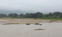 sag-250603.jpg
