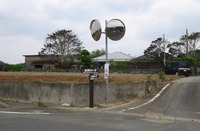 saigo-road-180407.jpg