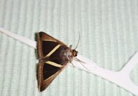 sbsk-200715.jpg