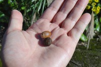 seed_droppin-191214.jpg